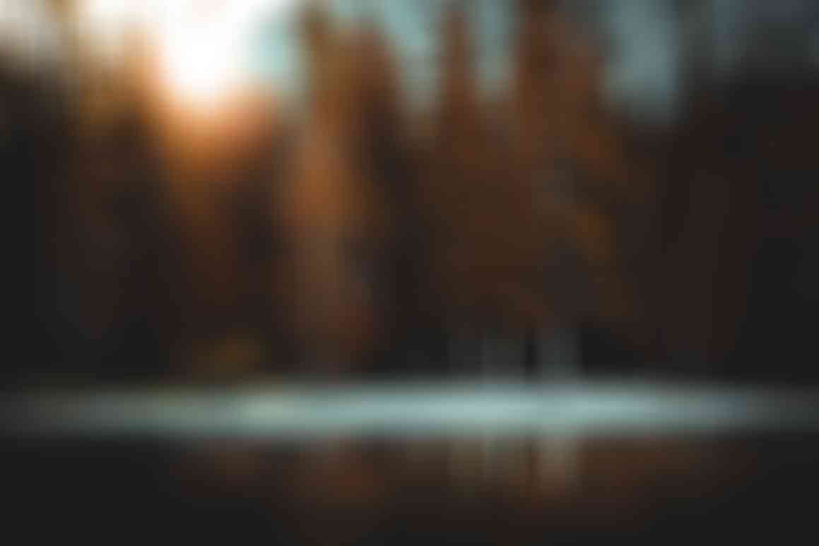 Youtube & Vimeo videos